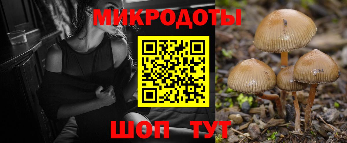 Галлюциногенные грибы мухоморы Карталы