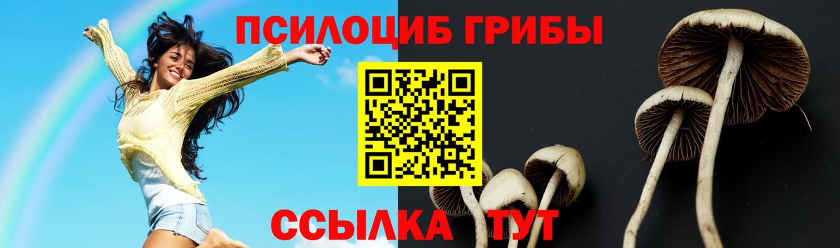 Галлюциногенные грибы MAGIC MUSHROOMS  Вход с VPN  Карталы  Галлюциногенные грибы ЛСД 